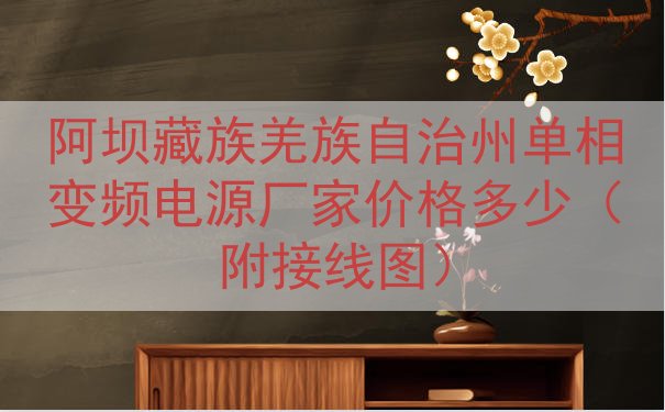 阿坝藏族羌族自治州单相变频电源厂家价格多少（附接线图）