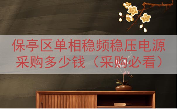 保亭区单相稳频稳压电源采购多少钱（采购必看）